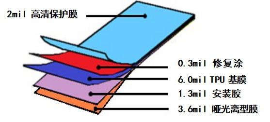 青鸾00.jpg